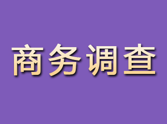 峨眉山商务调查